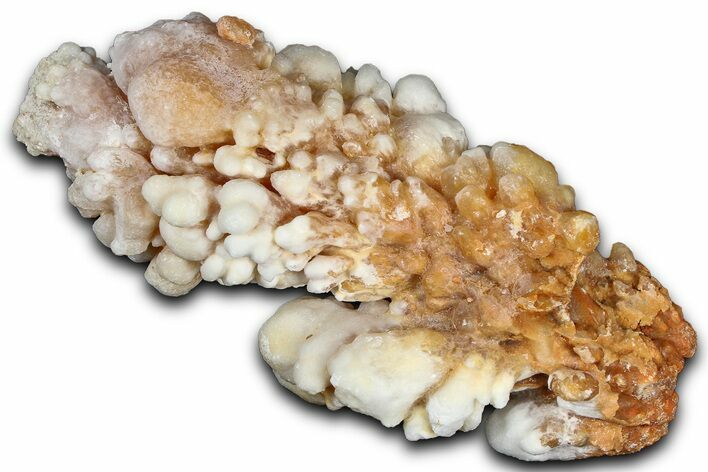 Sparkling Calcite/Aragonite Stalactite Formation - China #364550